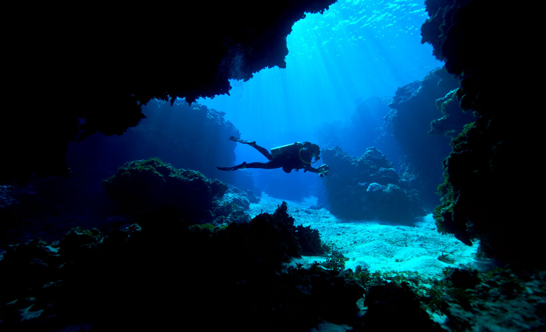 The Best Luxury Dive Watches for 2023