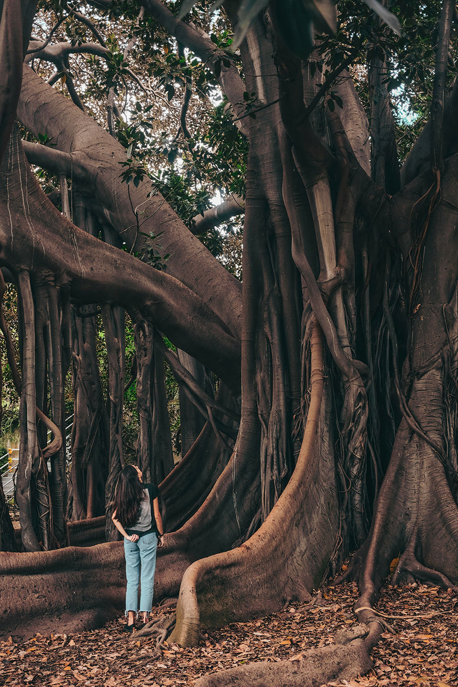 Exploring Sicily