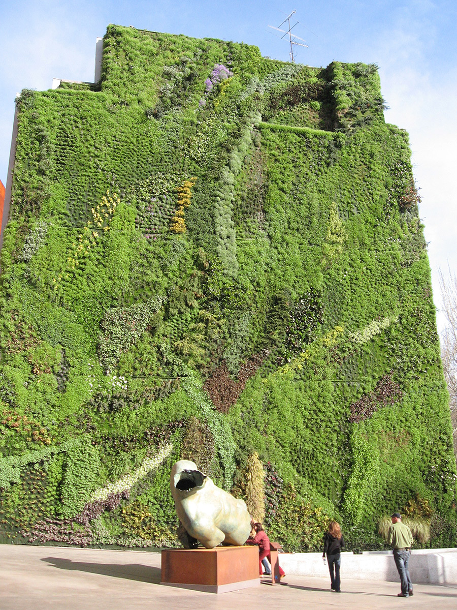 Green Architecture- The vertical garden of CaixaForum Madrid at its creation in 2007 - © Cillas