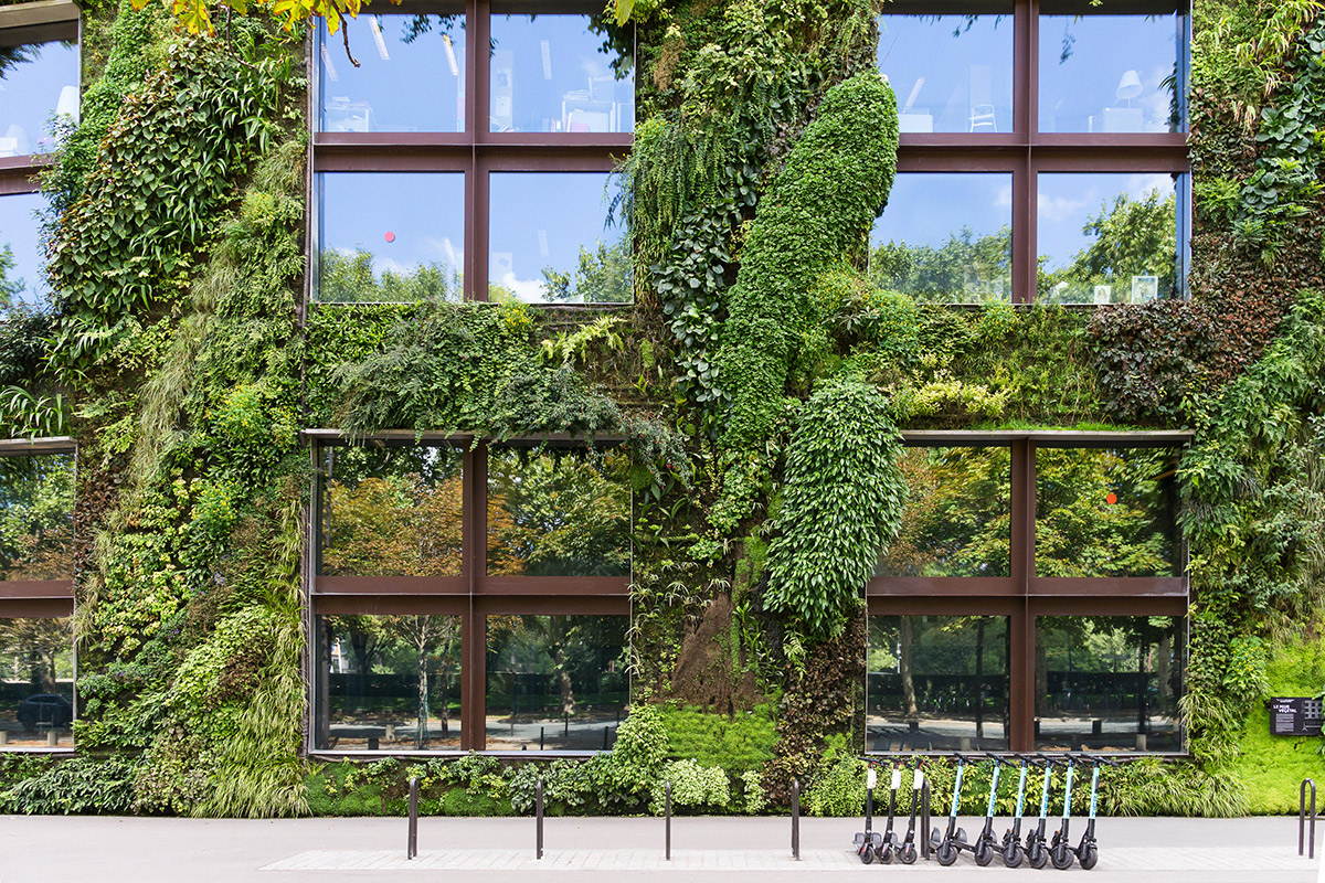 Green Architecture - Living wall Paris-Vertical Garden made by Patrick Blanc on the Musée du Quai Branly in Paris, France, Europe. © Soma